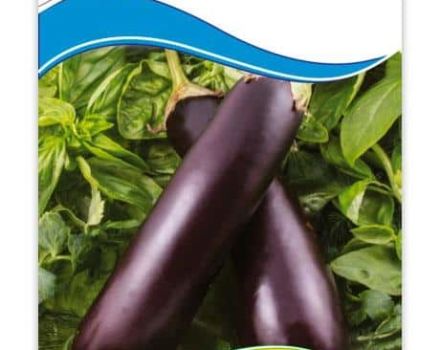 Description of the variety of eggplant Universal 6, features of cultivation and care