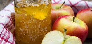 9 best step-by-step recipes for apple jelly with and without gelatin for the winter