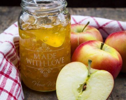 9 meilleures recettes étape par étape pour la gelée de pomme avec et sans gélatine pour l'hiver