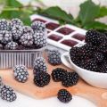 3 best recipes for freezing blackberries in the refrigerator for the winter