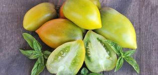 Penerangan mengenai varieti tomato Verde Chile, ciri penanaman dan penjagaan