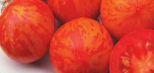 Description of the tomato variety Grouse, its characteristics and cultivation