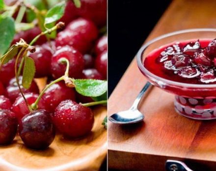 Recette étape par étape pour faire des cerises en gelée avec de la gélatine pour l'hiver