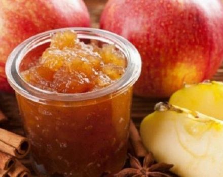 Una receta rápida para hacer rodajas de mermelada de manzana para el invierno