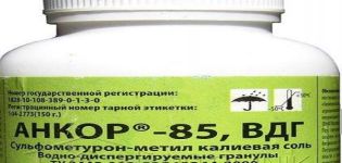 Instrucciones de uso del herbicida Ankor 85, mecanismo de acción y tasas de consumo