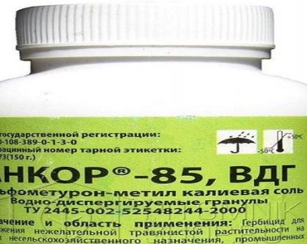 Instructions for the use of herbicide Ankor 85, mechanism of action and consumption rates