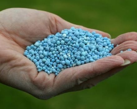 What to relate to phosphorus fertilizers: their types and names