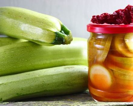 The best recipes for preparing zucchini for the winter with chili ketchup