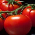 Penerangan dan ciri-ciri varieti tomato 100 peratus f1