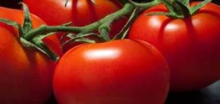 Penerangan dan ciri-ciri varieti tomato 100 peratus f1