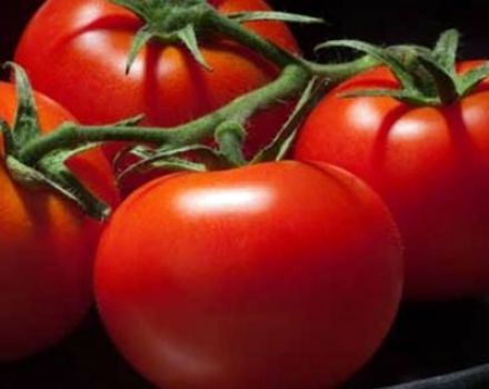 Description et caractéristiques de la variété de tomate 100 pour cent f1