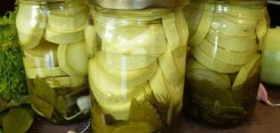 8 mejores recetas de calabacín dulce en escabeche para el invierno