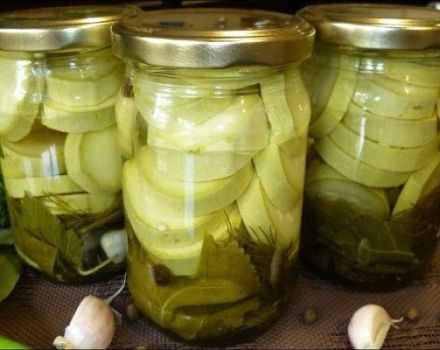 8 mejores recetas de calabacín dulce en escabeche para el invierno