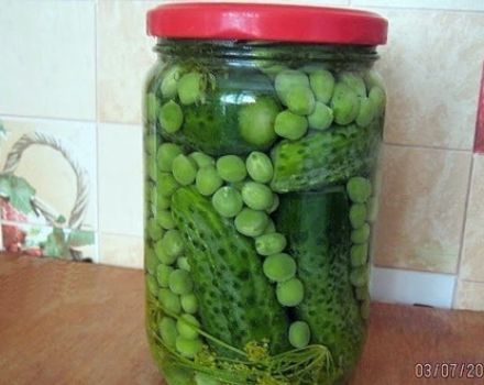 Recetas para encurtir pepinos con guisantes para el invierno.