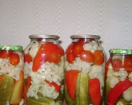 7 easy recipes for pickling platter with cauliflower for the winter