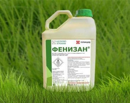 Instructions pour l'utilisation de l'herbicide Fenisan, mécanisme d'action et taux de consommation