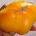 Caractéristiques et description de la variété de tomate King of Siberia, son rendement