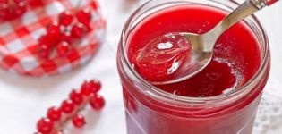 10 easy step-by-step recipes for red currant jelly for the winter