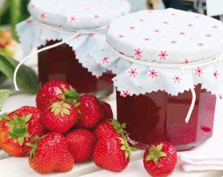 22 meilleures recettes de confiture de fraises étape par étape pour l'hiver