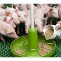 Composition and instructions for the use of BMVD for feeding pigs, how to do it yourself