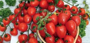 Ciri dan keterangan mengenai varieti tomato strawberi, hasilnya