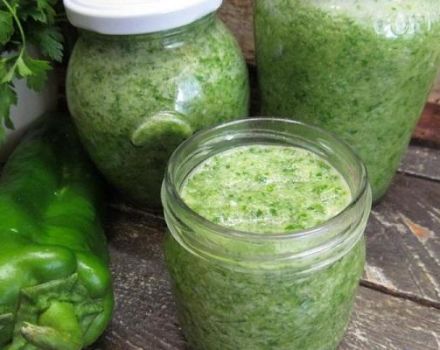 13 migliori ricette per preparare l'adika verde per l'inverno