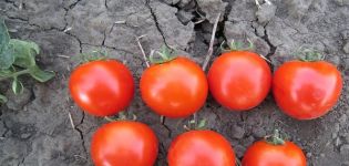 Description and characteristics of the Aswon tomato variety