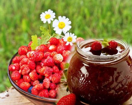 14 mejores recetas para preparar fresas silvestres para el invierno