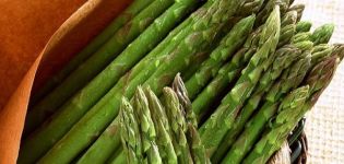 Qu'est-ce que l'asperge, ses types et où elle pousse, les avantages et les inconvénients