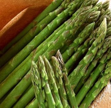 Qu'est-ce que l'asperge, ses types et où elle pousse, les avantages et les inconvénients