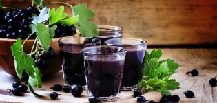 10 easy step-by-step homemade blackcurrant wine recipes