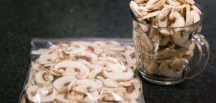 TOP 10 recipes on how to freeze mushrooms for the winter at home in the refrigerator, shelf life