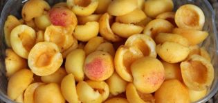 TOP 5 recetas sobre cómo congelar correctamente la ciruela cereza para el invierno en el congelador