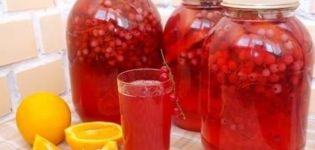 TOP 5 recipes for red currant compote with orange for the winter