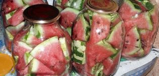 Delicious instant recipes for pickled watermelons for the winter in jars