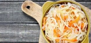 TOP 6 recetas de repollo en escabeche con aspirina para el invierno