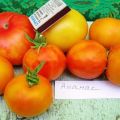 Description of the tomato variety Pineapple, features of cultivation and care