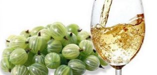 15 easy step-by-step recipes for making gooseberry wine at home