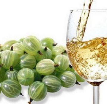 15 madaling hakbang na mga recipe para sa paggawa ng gooseberry wine sa bahay