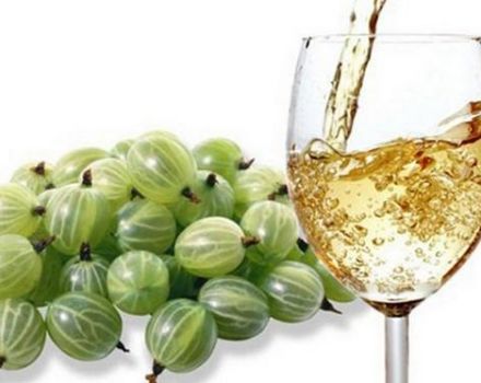 15 resipi langkah demi langkah yang mudah untuk membuat wain gooseberry di rumah