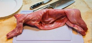 How to cut a rabbit at home, schemes and methods for beginners