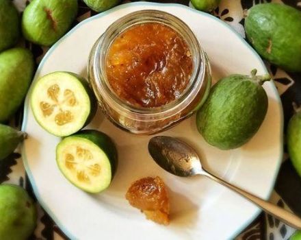 10 recetas para hacer puré de feijoa con azúcar para el invierno