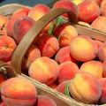 How to store peaches at home in the refrigerator, freezer and cellar