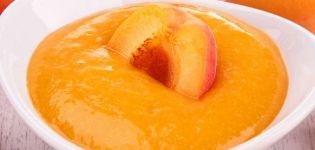 TOP 6 delicious recipes for making apricot sauce for the winter