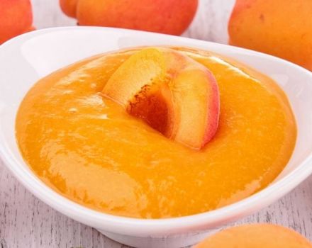 TOP 6 delicious recipes for making apricot sauce for the winter