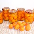 TOP 10 recipes for making apricots in syrup for the winter with slices