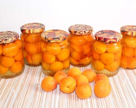 TOP 10 des recettes pour faire des abricots au sirop pour l'hiver avec des tranches