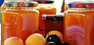 A simple recipe for making plum and apricot jam for the winter