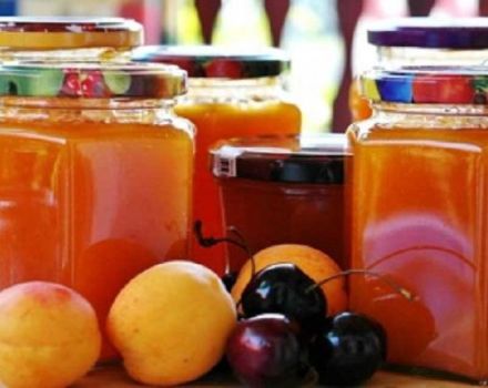 Une recette simple pour faire de la confiture de prunes et d'abricots pour l'hiver