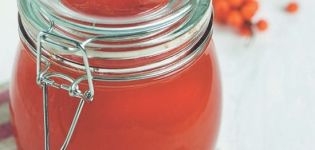 Simple recipes for making sea buckthorn jam for the winter at home